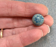 Load image into Gallery viewer, Spa Blue Fossilized Beaded Bracelet - Ginger jar