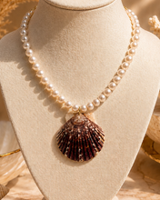 Load image into Gallery viewer, Pearl Brown Scollop Shell Pendant Necklace